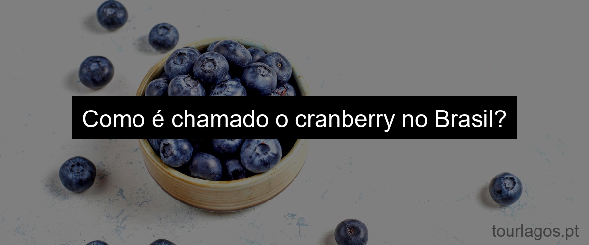 Como é chamado o cranberry no Brasil?
