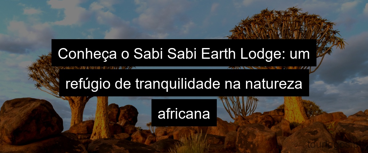 Conheça o Sabi Sabi Earth Lodge: um refúgio de tranquilidade na natureza africana