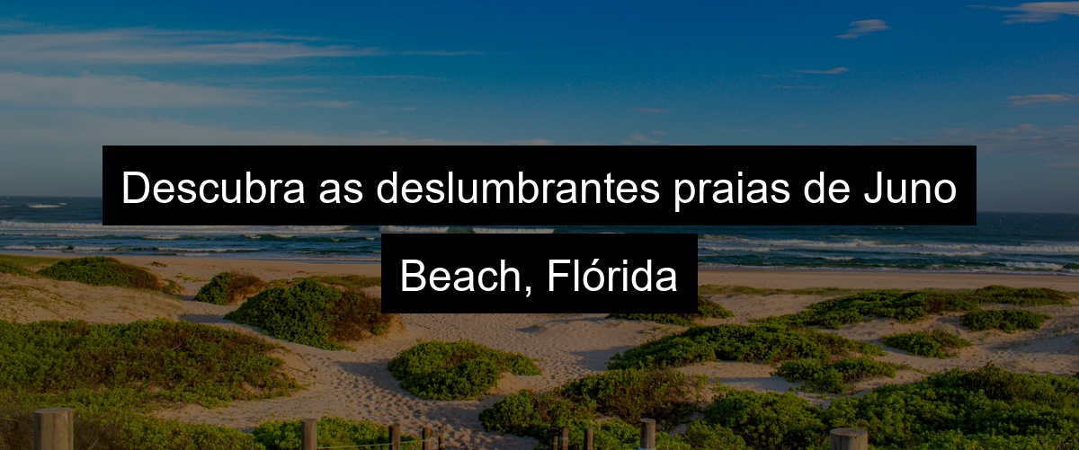 Descubra as deslumbrantes praias de Juno Beach, Flórida