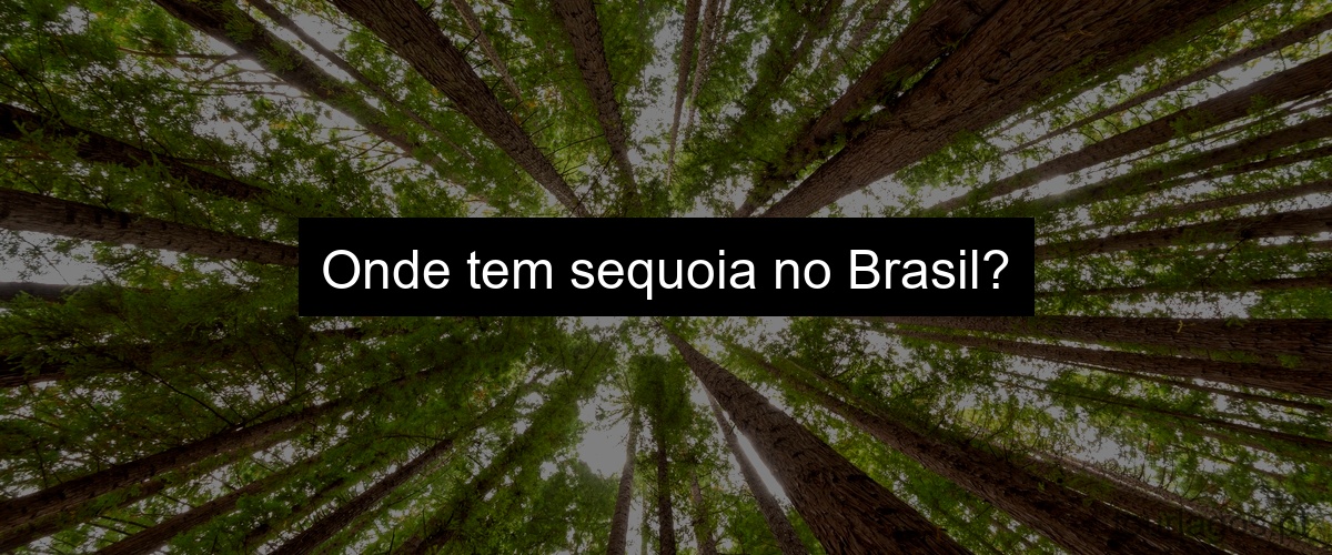 Onde tem sequoia no Brasil?