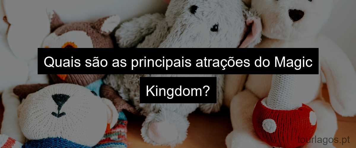 Quais são as principais atrações do Magic Kingdom?