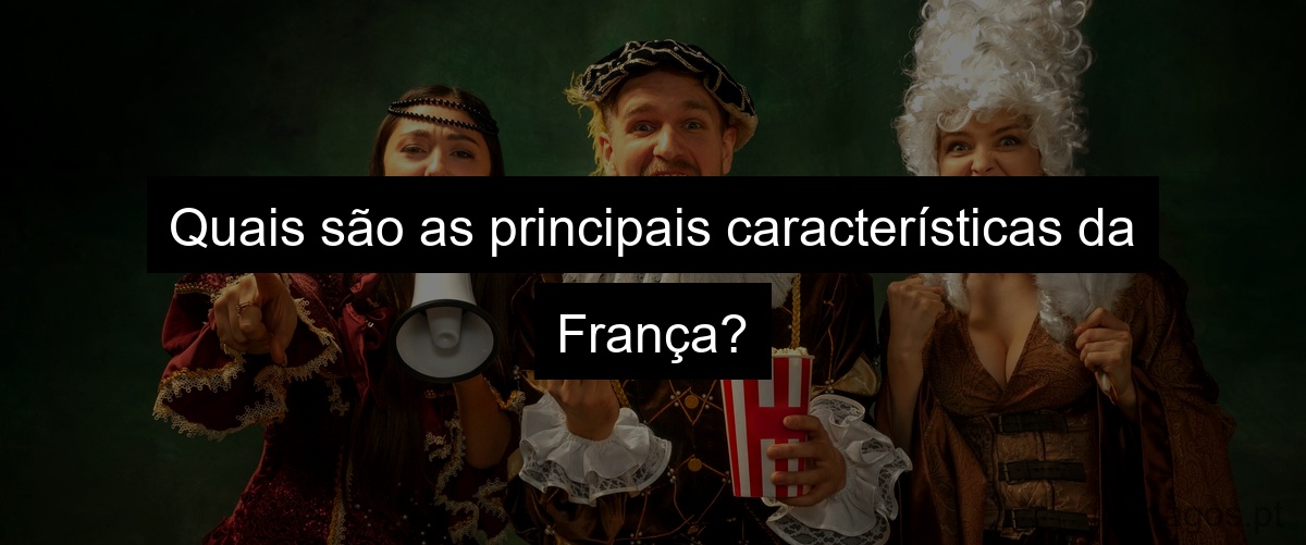 Quais são as principais características da França?