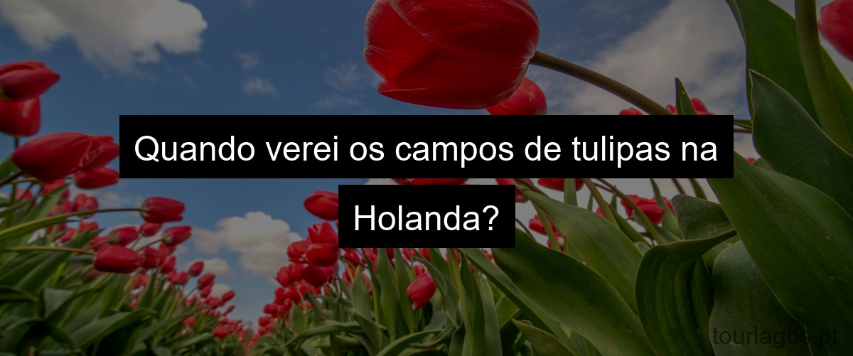 Quando verei os campos de tulipas na Holanda?