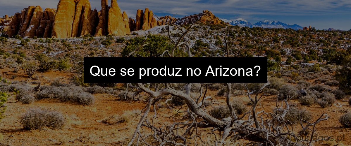Que se produz no Arizona?