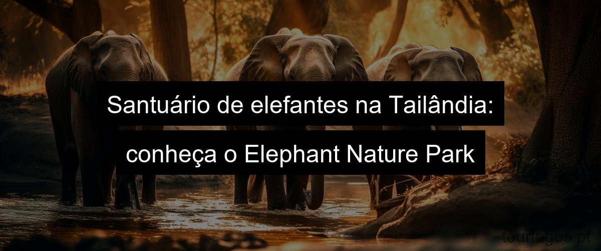 Santuário de elefantes na Tailândia: conheça o Elephant Nature Park